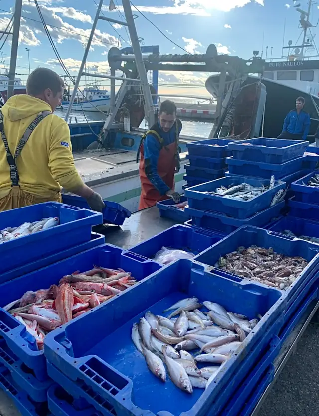 Pêcheurs avec des caisses de poisson tout juste arrivé sur le quai de Roses