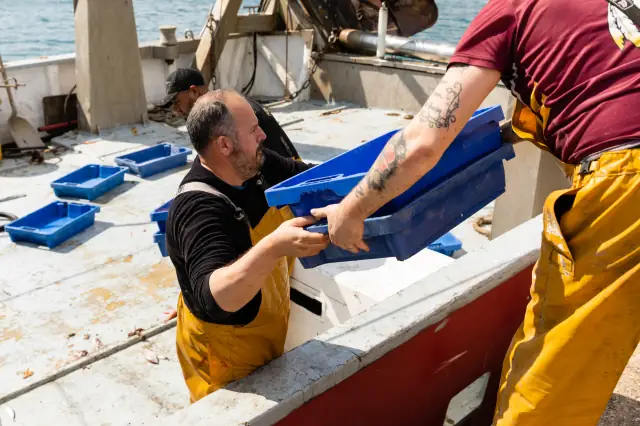 Deux pêcheurs déchargent des caisses bleues depuis le pont d'un bateau au port de Roses