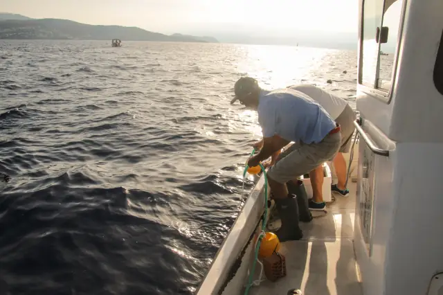 Un pêcheur penché par-dessus le bord d’un bateau, en pleine mer
